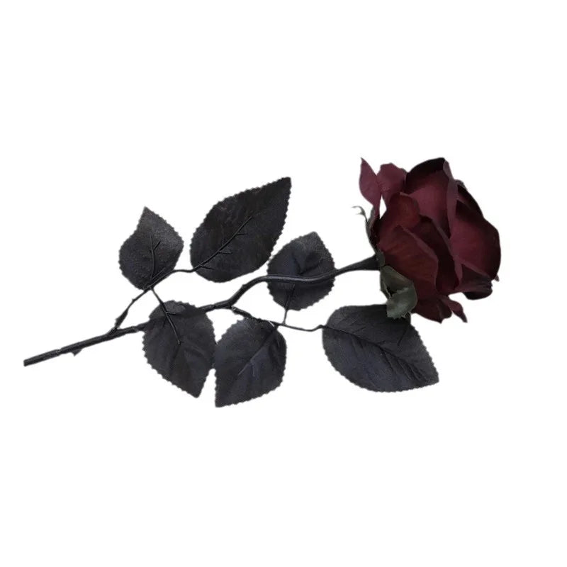 Sad0a4f22426c4d1eafff94457df6fe6cA