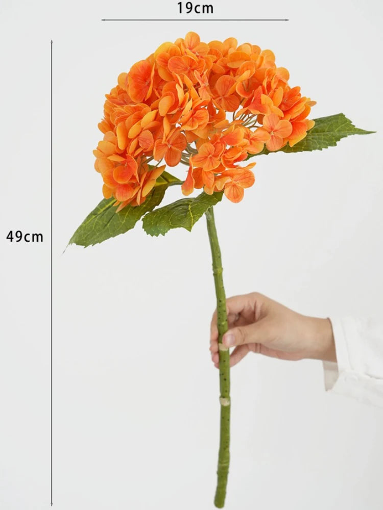 Sd4e81ae634ab4ae6bf1a8c4c42e91c6bb