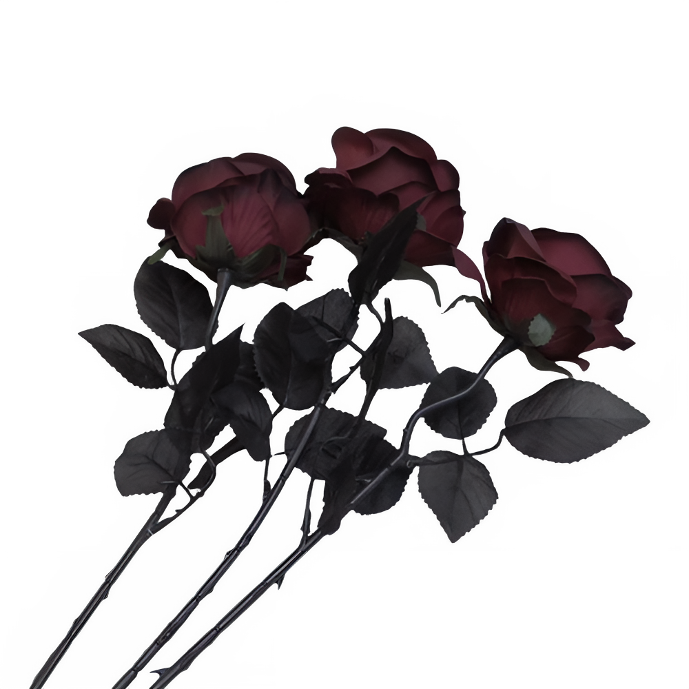 34b30895-9eec-405f-be2c-408778f1b03a