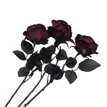 34b30895-9eec-405f-be2c-408778f1b03a