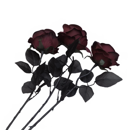 34b30895-9eec-405f-be2c-408778f1b03a