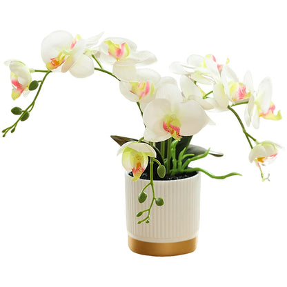 Artificial Phalaenopsis 33cm Artificial Faux Oceania Orchid Arrangement in decorative ceramic pot.
