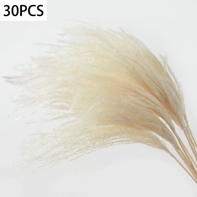 S16b0497fe07a4ddfbb17e4a1af828101O