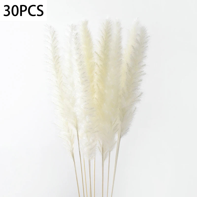 S1f784d96e6cd4309ab37f98b6a278988a
