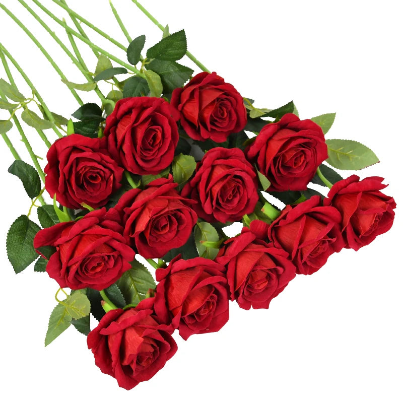S4455bd38ed4440c9aa4d7bb5ac97dc69U