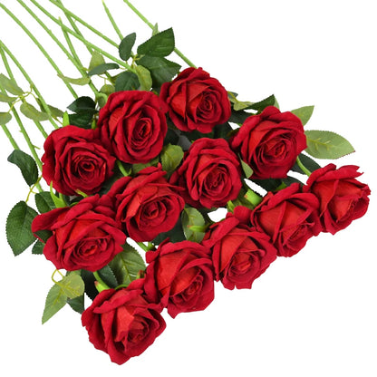 S4455bd38ed4440c9aa4d7bb5ac97dc69U