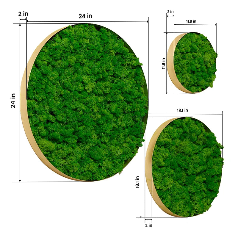 Real Moss Wall Art Unique 