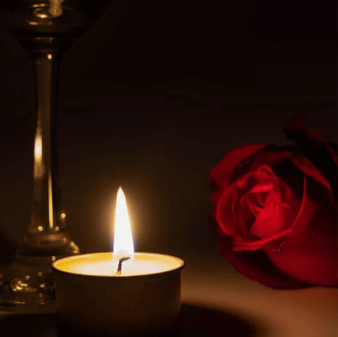 200x Tea Light Candles 9 Hour Long Burn Unscented Tealights Nightlights 9HR Bulk - HYPERMALL