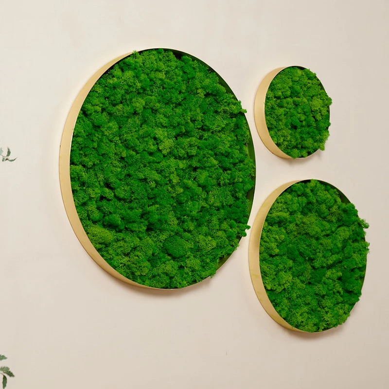 Real Moss Wall Art Unique 